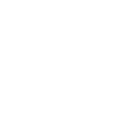 Flight